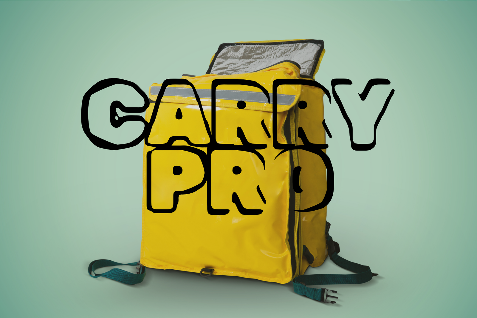 Carry Pro