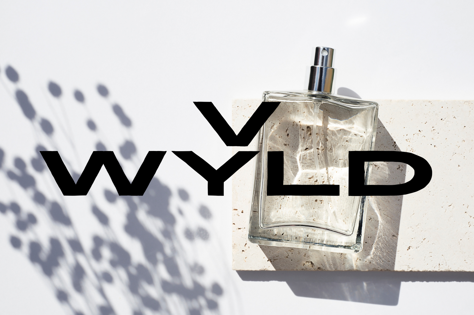V WYLD