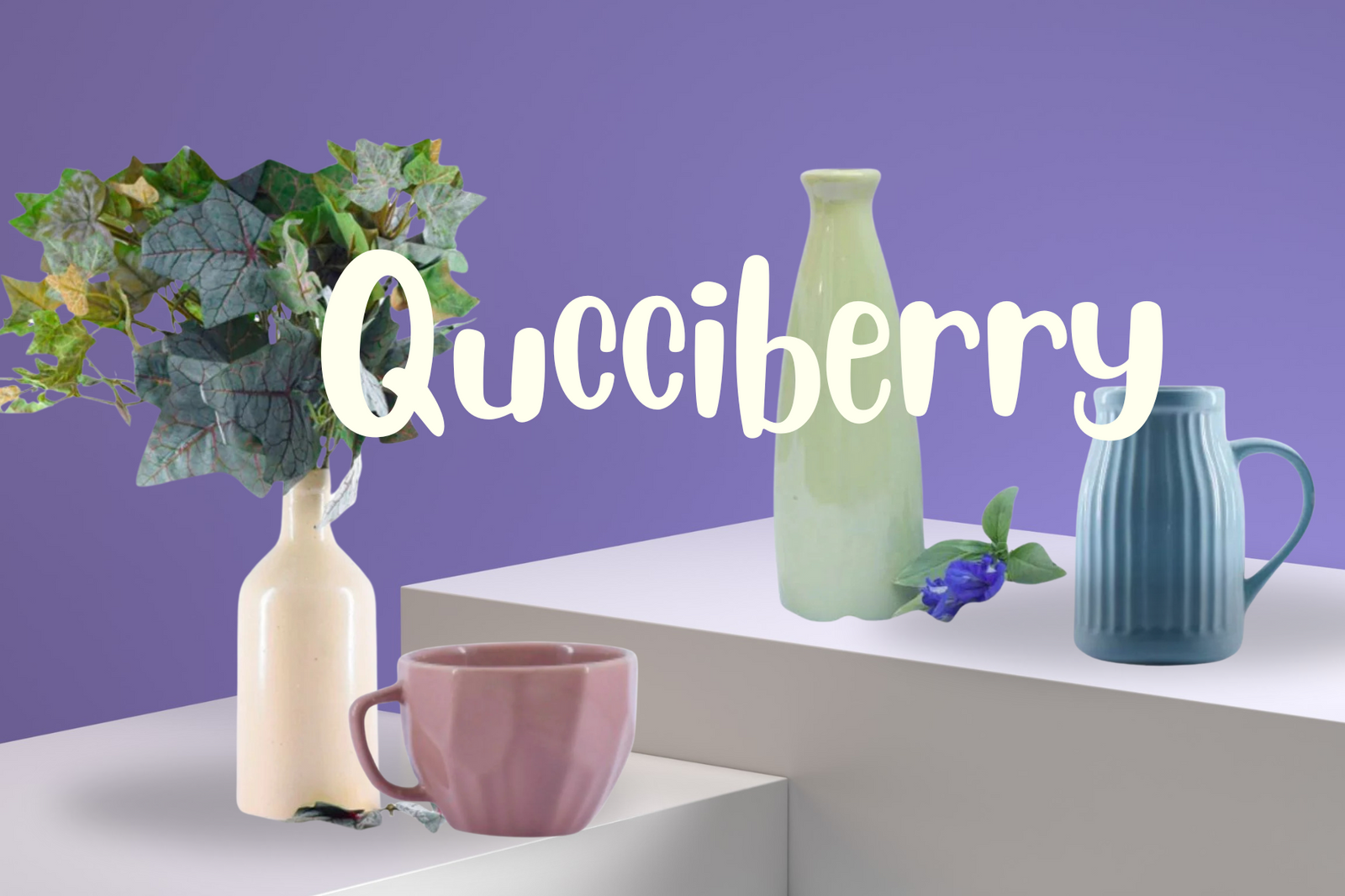 Qucciberry